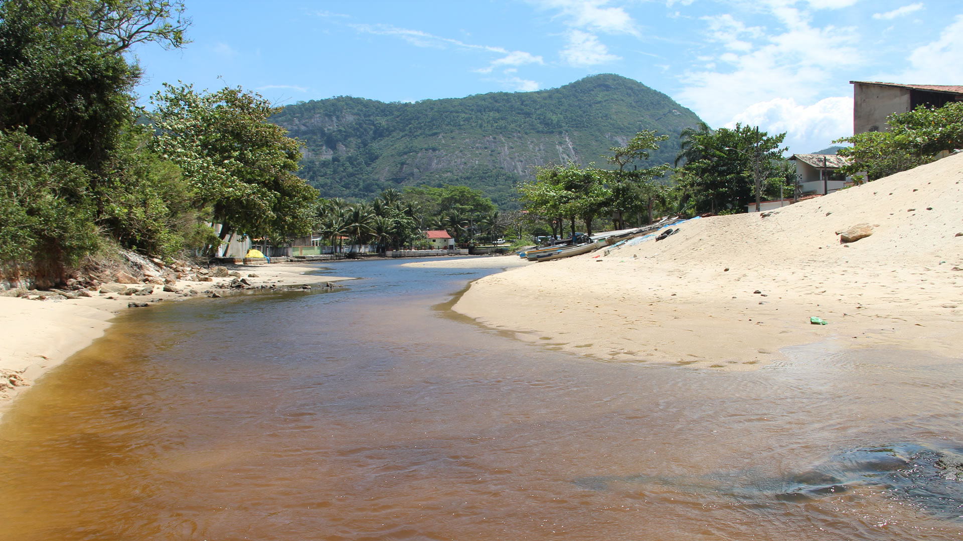 Trails in Rio de Janeiro, Better Trails of Rio, Hiking Trails, Trail in Tijuca Forest, Trail to the Christ the Redeemer