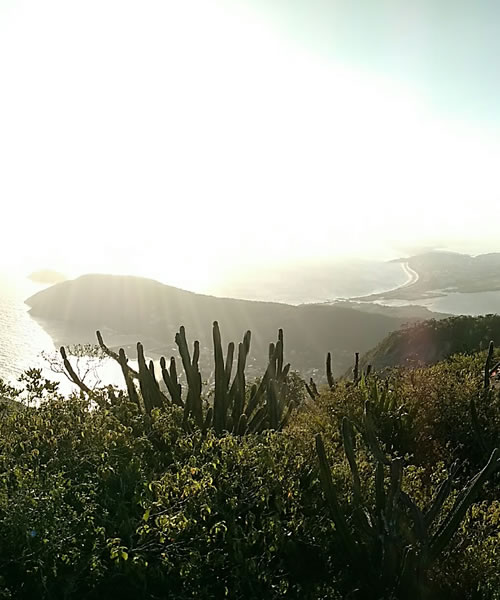 Pedra da Gávea no Rio de Janeiro, Trilha da Pedra da Gávea, Rapel na Pedra da Gávea